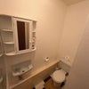 Photo 5: 2nd toilet