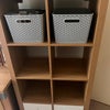 Photo 7: Shelving and storage