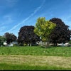 Photo 8: Surrounding cul de sac 