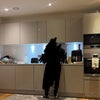 Photo 5: Kitchen