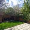 Photo 8: Garden