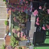 Photo 6: Garden