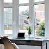 Photo 16: Room 4 - Large double room with lots of natural light