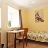 Photo 4: Single bedroom