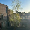 Photo 6: Kitchen view to common room building and garden