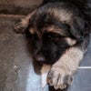 Photograph of Manvitha