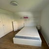 Photo 4: En Suite 