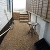 Photo 5: Garden/Yard - opens at back