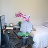 Photo 3: Room 1- £650 Available Now