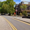 Photo 6: Street View Left (University)