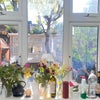Photo 2: View from kitchen window