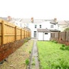 Photo 2: Backyard