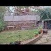 Photo 8: Garden