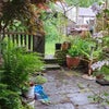 Photo 5: garden