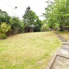 Photo 6: Large shared garden