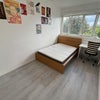 Photo 5: Room 1: £242pw with all bills included