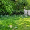 Photo 5: Multiple garden spaces
