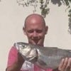 Photograph of ray