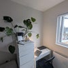 Photo 12: Room 5