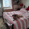 Photo 3: Just Chilling..