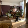Photo 8: Dog is just a visitor and not included 