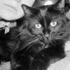 Charlie\'s picture