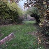 Photo 9: Garden
