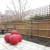 Photo 7: Garden