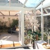 Photo 6: The conservatory is ideal for drying laundry in all weather. The patio is a very good for BBQ.