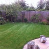 Photo 7: garden