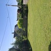 Photo 5: Back garden