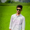 Photograph of Pavan