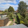 Photo 3: Window view