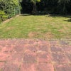 Photo 5: Garden