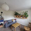 Photo 4: the living room