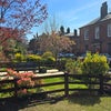 Photo 9: Lovely gardens on a prestigious street