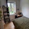 Photo 3: £730 pcm