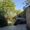 Photo 9: Garden 