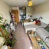Photo 4: Living room