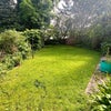Photo 9: Garden