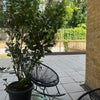Photo 8: shared patio 