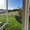 Photo 4: Your view from your window 🤩
