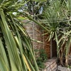 Photo 9: Back garden