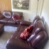 Photo 9: Living room 