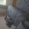 Photo 4: Single room