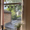 Photo 3: Garden facing