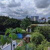 Photo 5: view