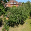 Photo 8: View from dormer window