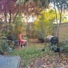 Photo 6: Garden with braai, shed (for storage) & Hello Kitty 