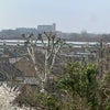 Photo 8: The view from the room. Communal garden underneath.
